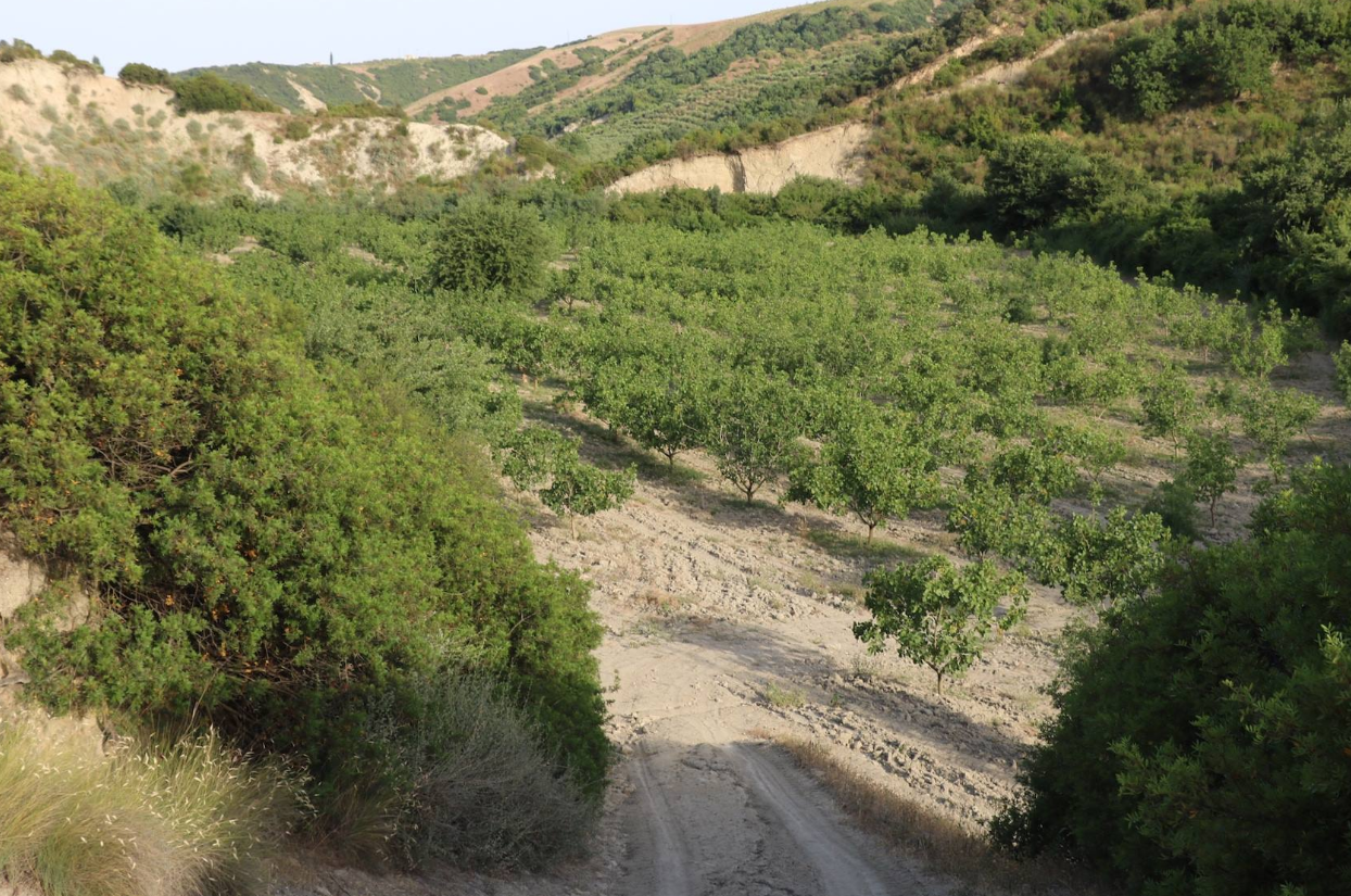 Azienda Agricola Serrealte