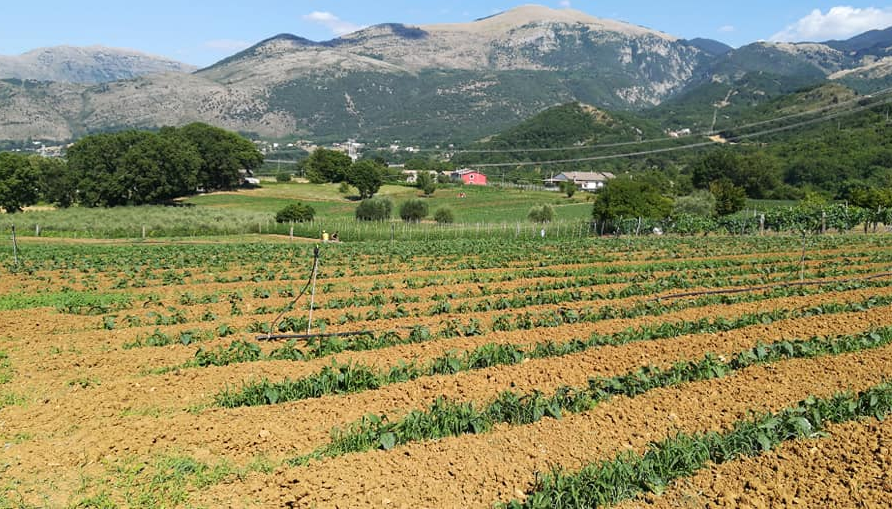 Il Pollino a tavola