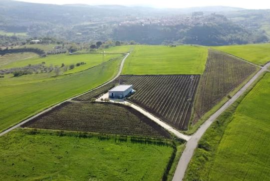 Carbone Vini