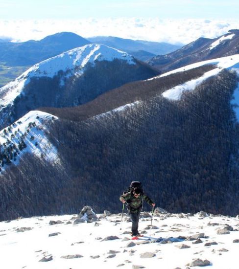 Immagine di Ciaspolate sulla neve nel Parco Nazionale del Pollino - Livello 3