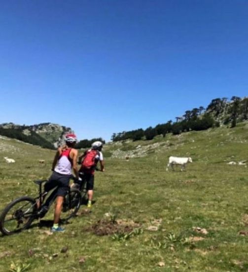 Immagine di Mountain Bike ed E-bike nel Parco Nazionale del Pollino