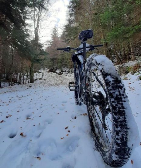 Immagine di Mountain Bike ed E-bike nel Parco Nazionale del Pollino