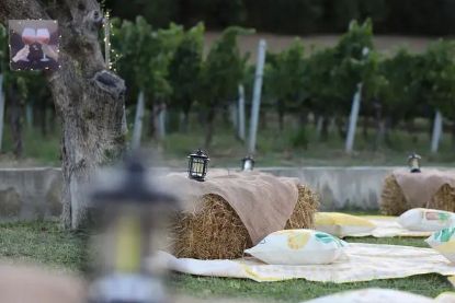 Visualizza i dettagli per Formula Pic-Nic Immagine di Formula Pic-Nic